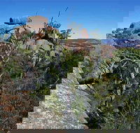 Evans Crown Nature Reserve - Palm Beach Accommodation