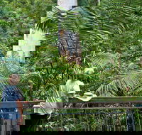 Grandis Picnic Area - Palm Beach Accommodation