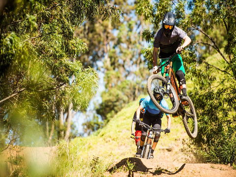 Greenvalleys Mountain Bike Park - Palm Beach Accommodation 2