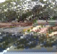 Green Corridor Walking Track - Palm Beach Accommodation