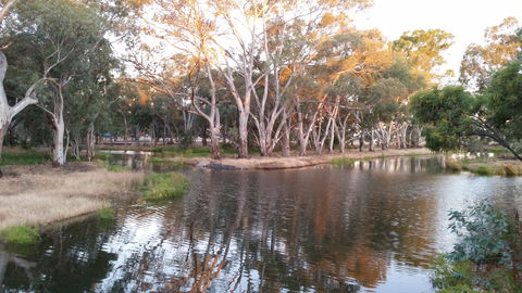 Green Corridor Walking Track - Palm Beach Accommodation 1