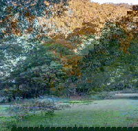 Griffins walking track - Palm Beach Accommodation