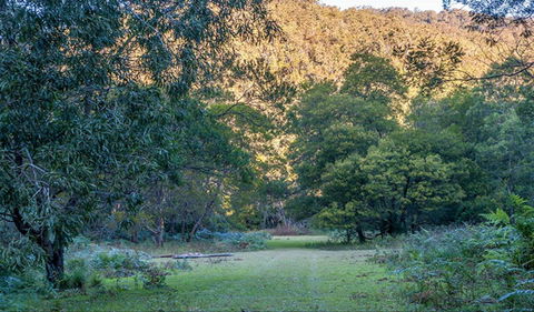 Griffins Walking Track - Palm Beach Accommodation 0