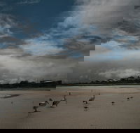 Hardwicke Bay - Palm Beach Accommodation