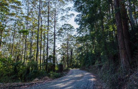 Hastings Forest Way Touring Route - Palm Beach Accommodation 0