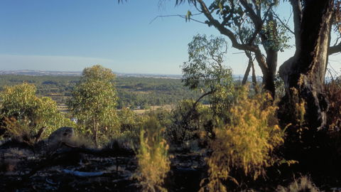 Heathcote-Graytown National Park - Palm Beach Accommodation 0