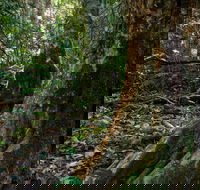 Hidden Treasure Track