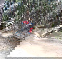 Jolly Nose Mountain Bike Park - Palm Beach Accommodation
