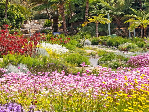 Jurassic Garden AR Experience - Palm Beach Accommodation 0