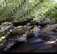 Kangaroo River - Palm Beach Accommodation