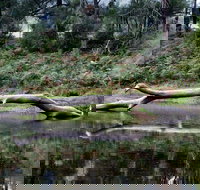 Kayaking Upper Tuross River and Bumbo Lake - Palm Beach Accommodation