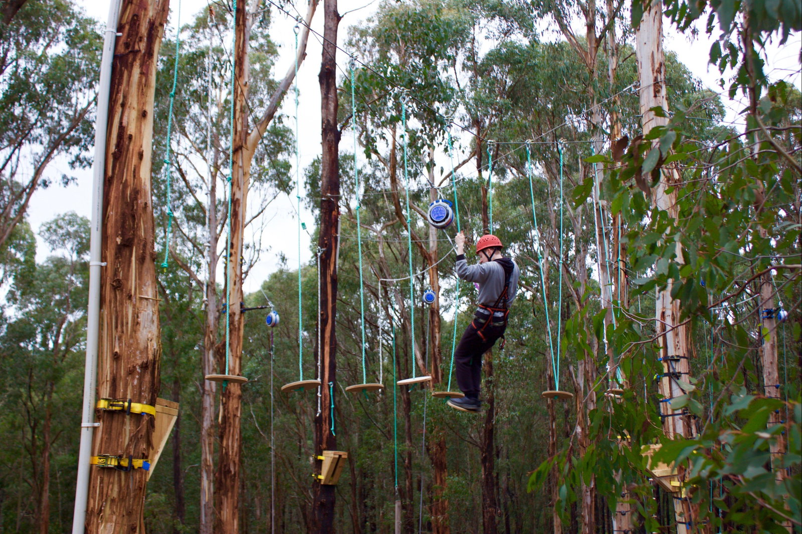 Kinglake West VIC Palm Beach Accommodation