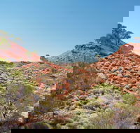 Lark Quarry Conservation Park - Palm Beach Accommodation
