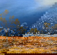 Lyn Barnes Gallery - Palm Beach Accommodation
