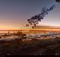 Macleay Island Jencoomercha - Palm Beach Accommodation