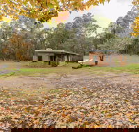 Major Clews Hut Walking Track - Palm Beach Accommodation