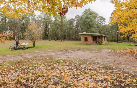 Major Clews Hut Walking Track - Palm Beach Accommodation 0