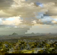 Mary Cairncross Scenic Reserve Rainforest Walk - Palm Beach Accommodation