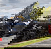 Margate Train - The - Palm Beach Accommodation