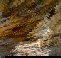 Marramarra National Park - Palm Beach Accommodation