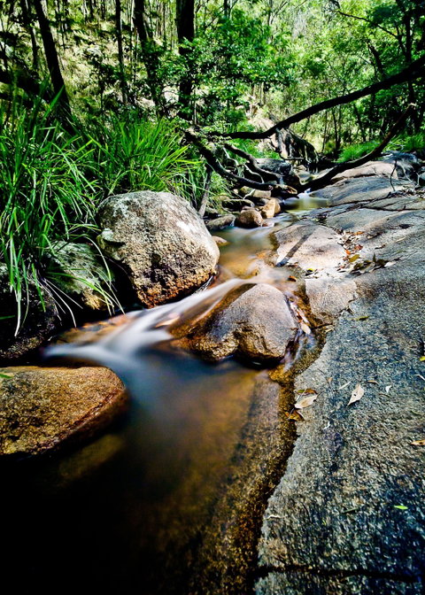 Mothar Mountain Rockpools - Palm Beach Accommodation 1