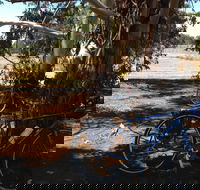 Murchison Rail Trail - Palm Beach Accommodation