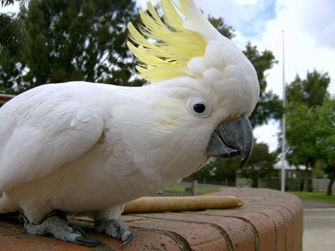 Myuna Farm - Palm Beach Accommodation 1