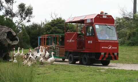 Myuna Farm - Palm Beach Accommodation 2