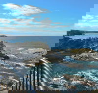 North Head Lookout - Palm Beach Accommodation