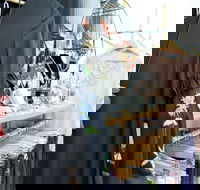 Oh JoJo Boutique - Palm Beach Accommodation