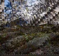 Pheasants Peak Walking Track