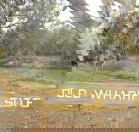 Pooncarie - Palm Beach Accommodation