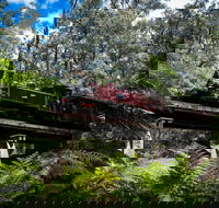 Puffing Billy Railway - Palm Beach Accommodation