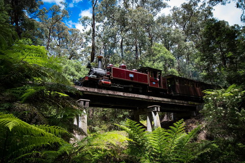 Puffing Billy Railway - Palm Beach Accommodation 0