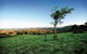 Ravensbourne National Park - thumb 0