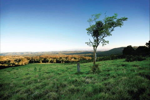 Ravensbourne National Park - Palm Beach Accommodation 0