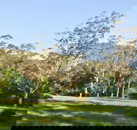 Red Cedar Flat Picnic Area - Palm Beach Accommodation