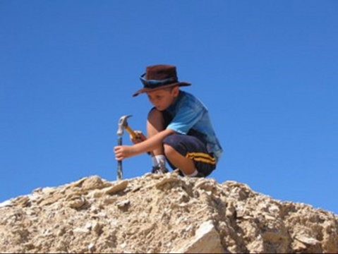 Richmond Fossil Hunting Sites - Palm Beach Accommodation 0