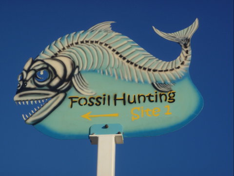 Richmond Fossil Hunting Sites - Palm Beach Accommodation 1