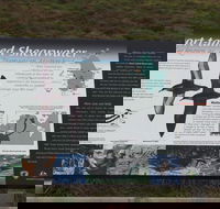 Settlement Point Viewing Platform - Palm Beach Accommodation