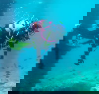 Shellharbour Scuba  and Photography Centre - Palm Beach Accommodation