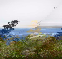 Slingsbys Trail and Syndicate Ridge Track - Palm Beach Accommodation