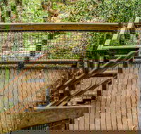 Somersby Falls walking track - Palm Beach Accommodation