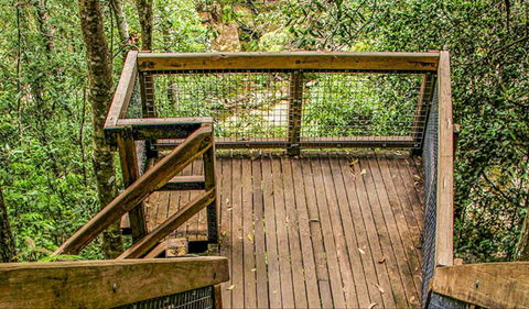 Somersby Falls Walking Track - Palm Beach Accommodation 0