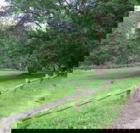 St Albans Reserve - Palm Beach Accommodation