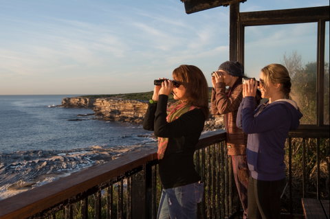 Sutherland Shire - Palm Beach Accommodation 0