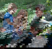 Tamworth Marsupial Park and Adventure Playground - Palm Beach Accommodation