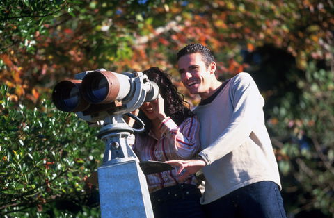 The Lookout Cambewarra Mountain - Palm Beach Accommodation 1