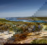 The Coast track - Palm Beach Accommodation