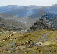 Thredbo Mountain Biking - Palm Beach Accommodation